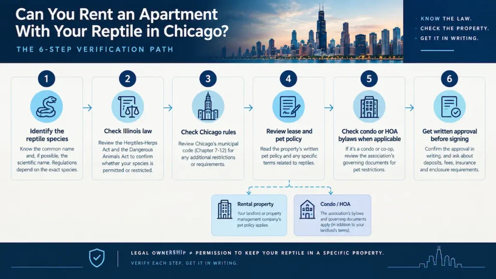 Reptile-Friendly Apartments in Chicago